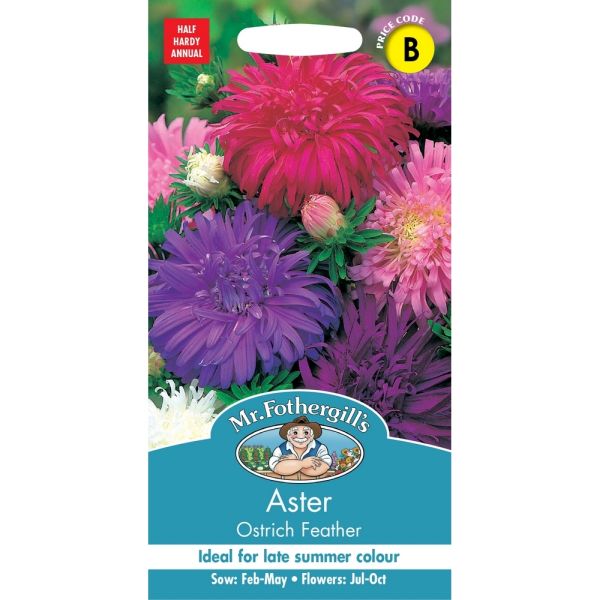 Aster Ostrich Feather Seeds
